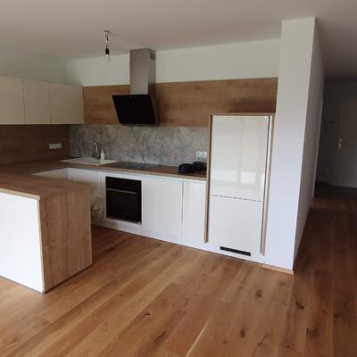 Wohnhausanlage Remystraße